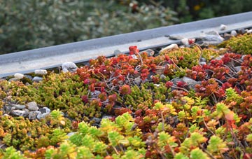 the cost of Shortwood green roof installation