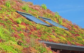 Shortwood living roof systems