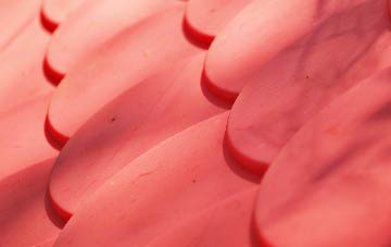 Shortwood plastic roof costs